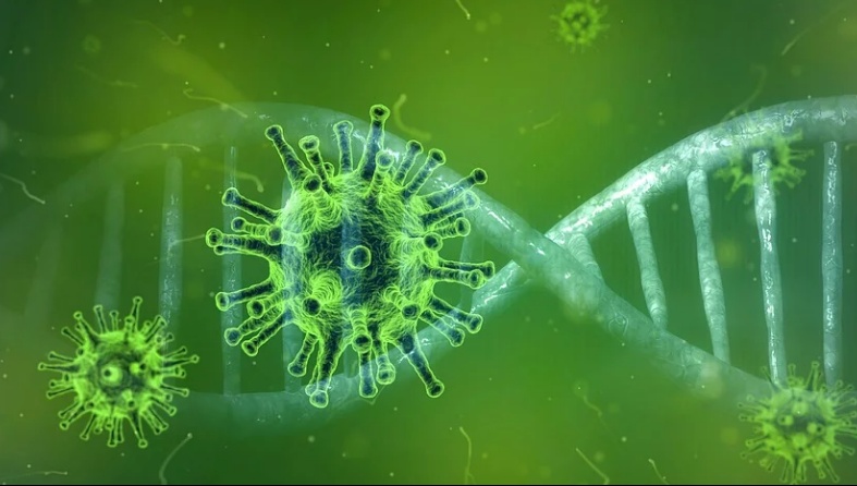 В Марий Эл подтвердились ещё 9 случаев заболевания коронавирусом