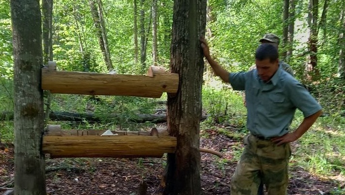 В парке «Марий Чодра» ремонтируют солонцы и устанавливают фотоловушки