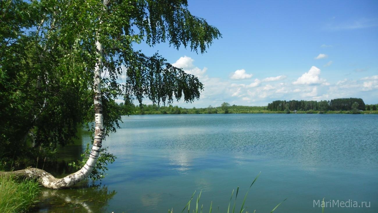 Волжский городской суд признал жилищное строительство на берегу Куруктурского озера незаконным