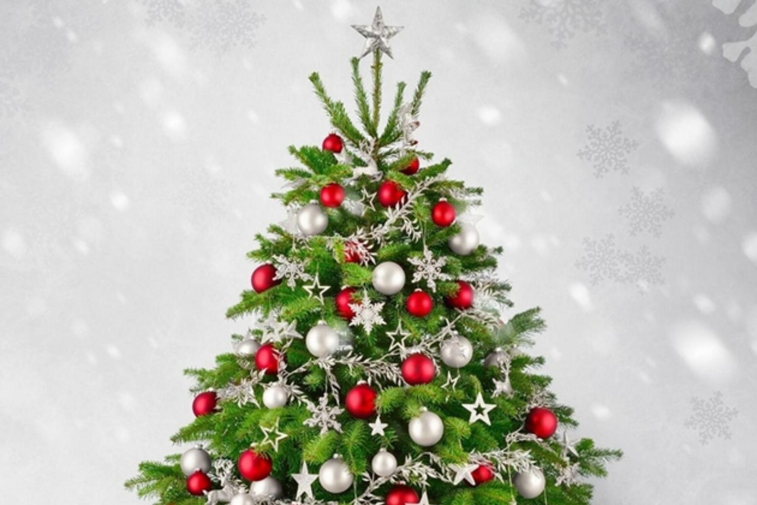 Новогодние каникулы 2026 в Национальной художественной галерее!