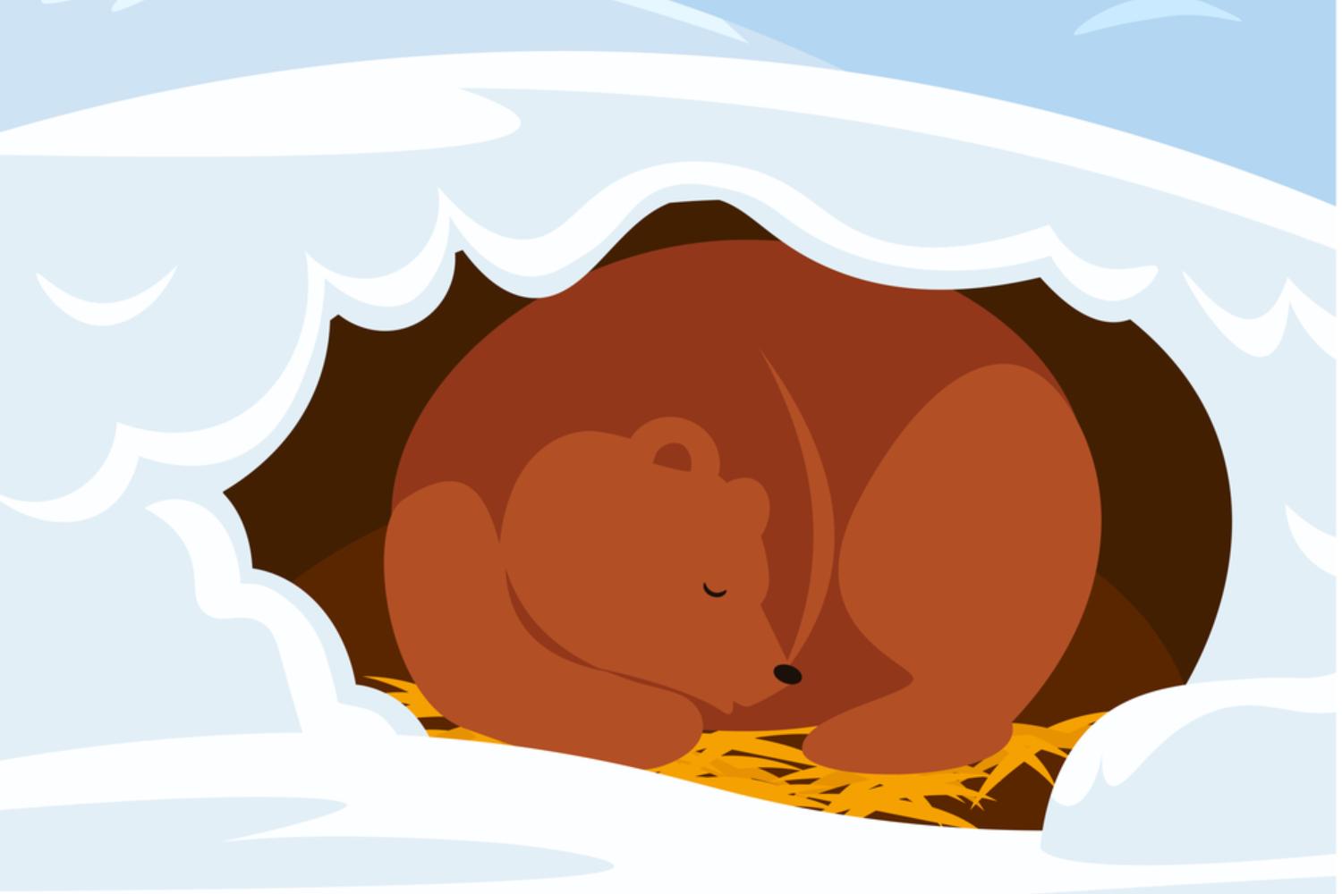 Медведица Дуся из Медведевского мини-зоопарка не спешит выходить из спячки