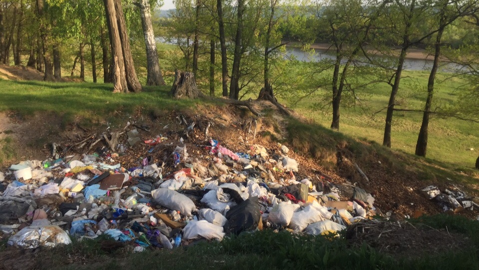 Прокуратура нашла несанкционированную свалку по информации в интернете