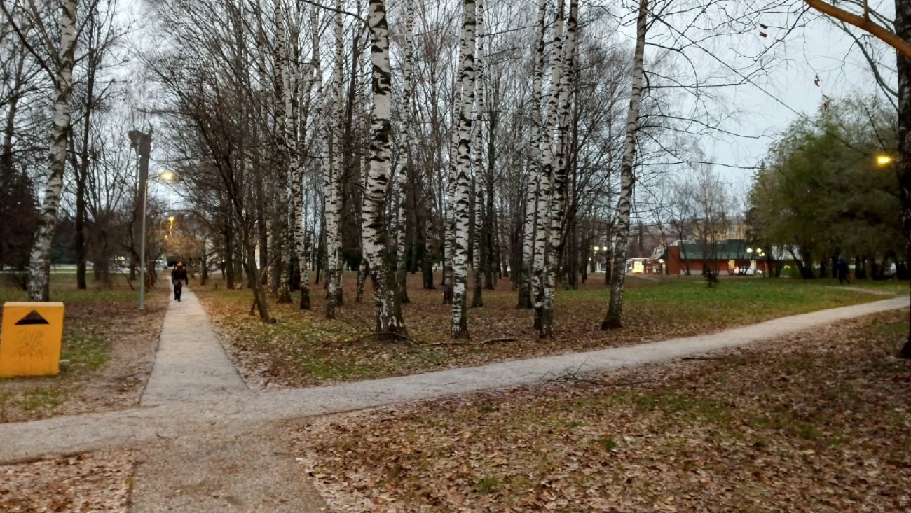 В парке культуры и отдыха в Йошкар-Оле стало светлее