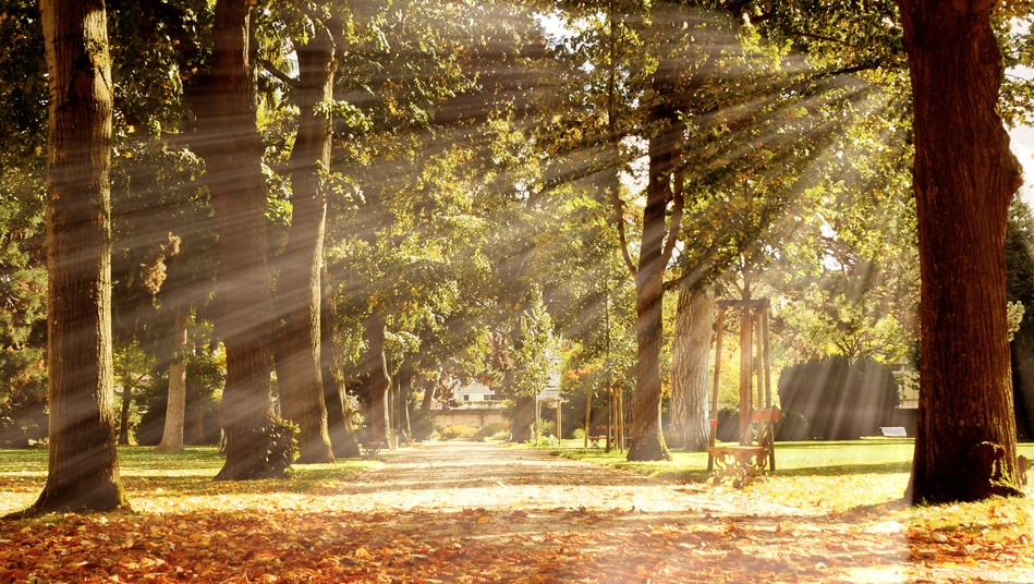 Начало осени в Марий Эл порадует комфортным теплом