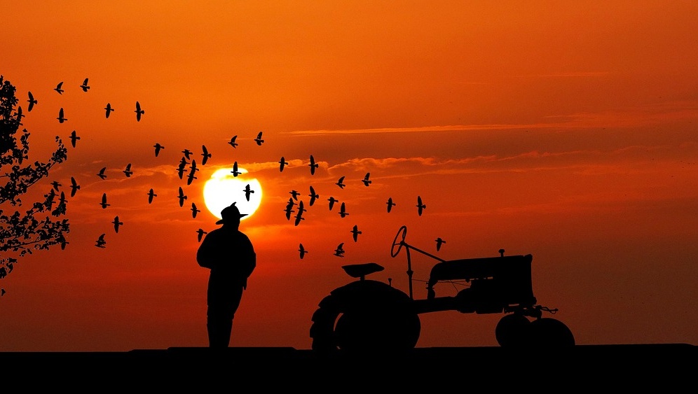 Сотрудники Росгвардии задержали пьяного тракториста