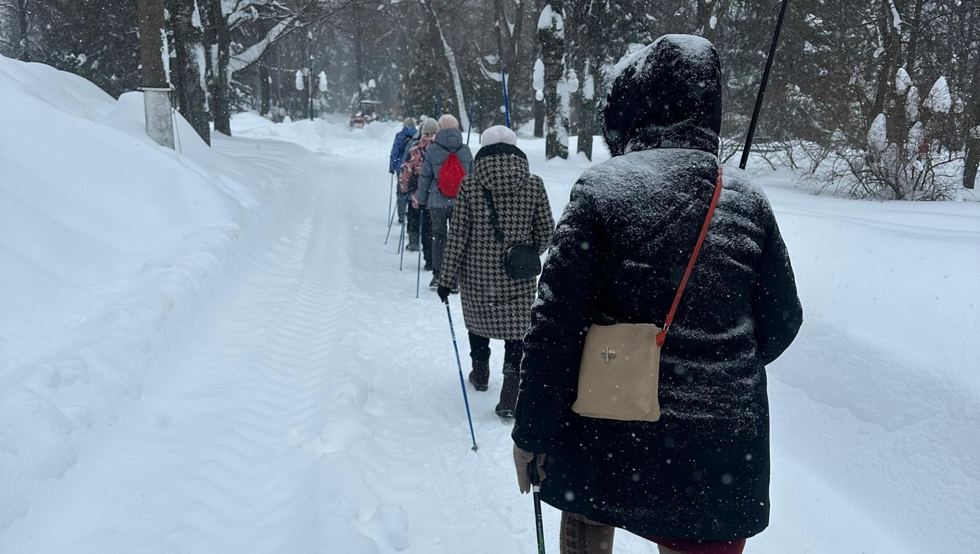Любители северной ходьбы встретятся в Центральном парке Йошкар-Олы
