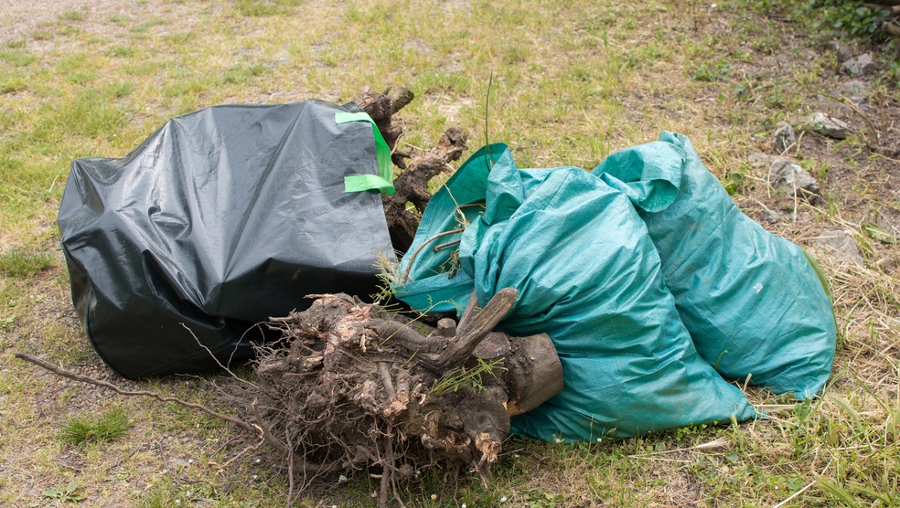 После обращения жителей Йошкар-Олы в госпаблик в одном из дворов стало чище