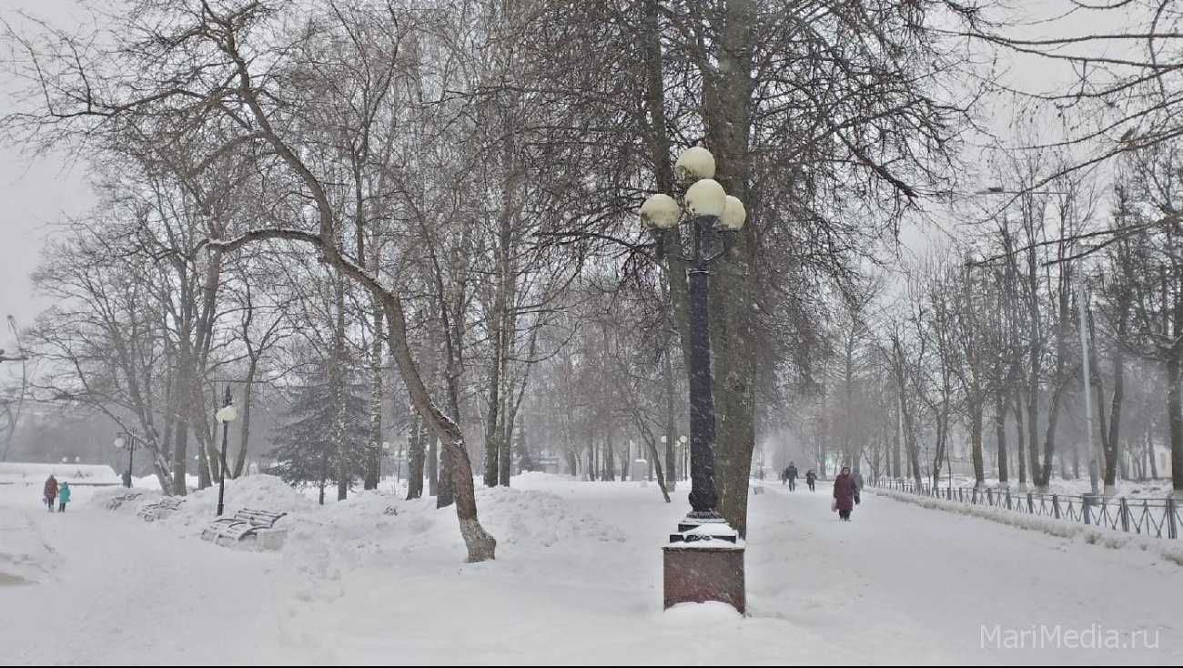 В ближайшие дни в Марий Эл обещают снегопады