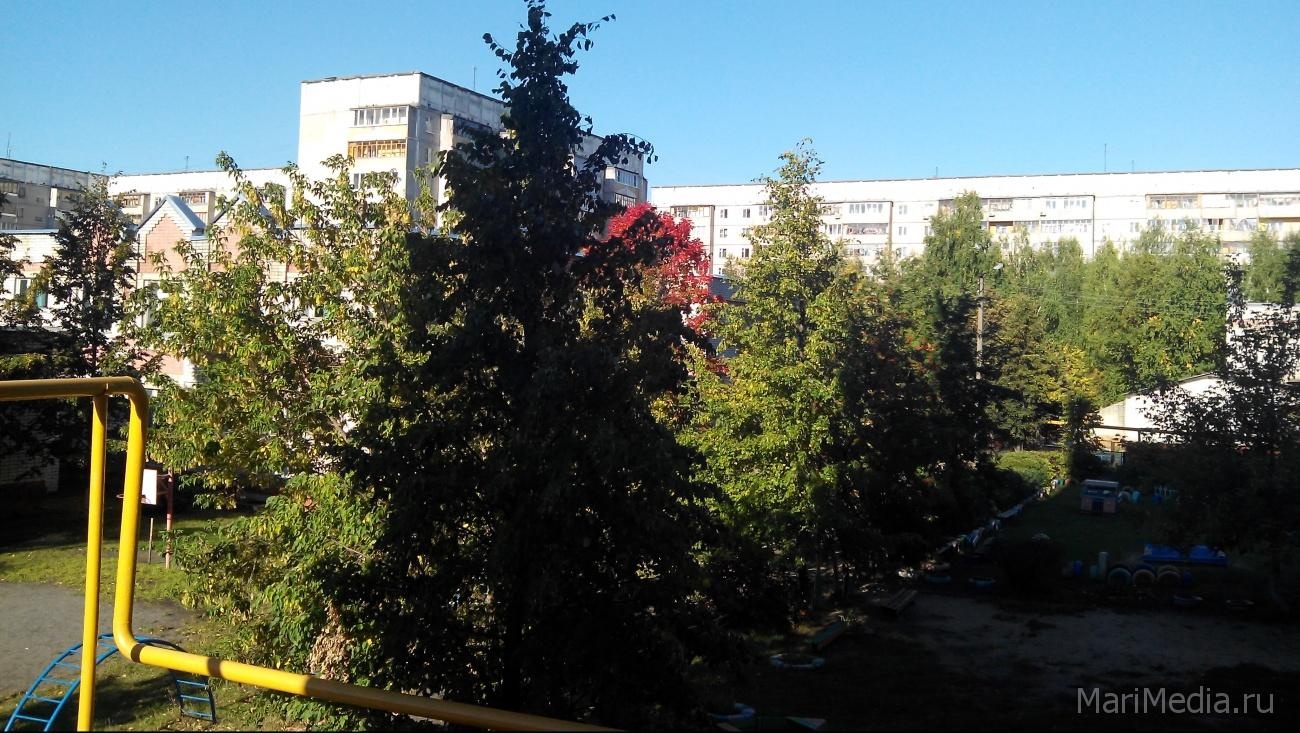 В выходные в Марий Эл будет умеренно жаркая погода