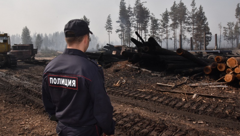 В МВД Марий Эл опасаются фактов мародёрства в зоне лесного пожара