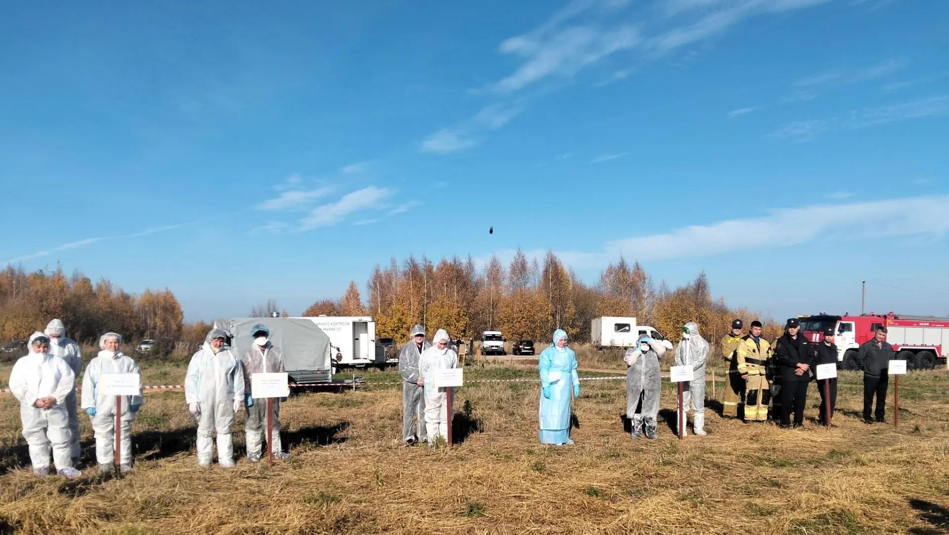 В Горномарийском округе учились бороться с бруцеллёзом скота