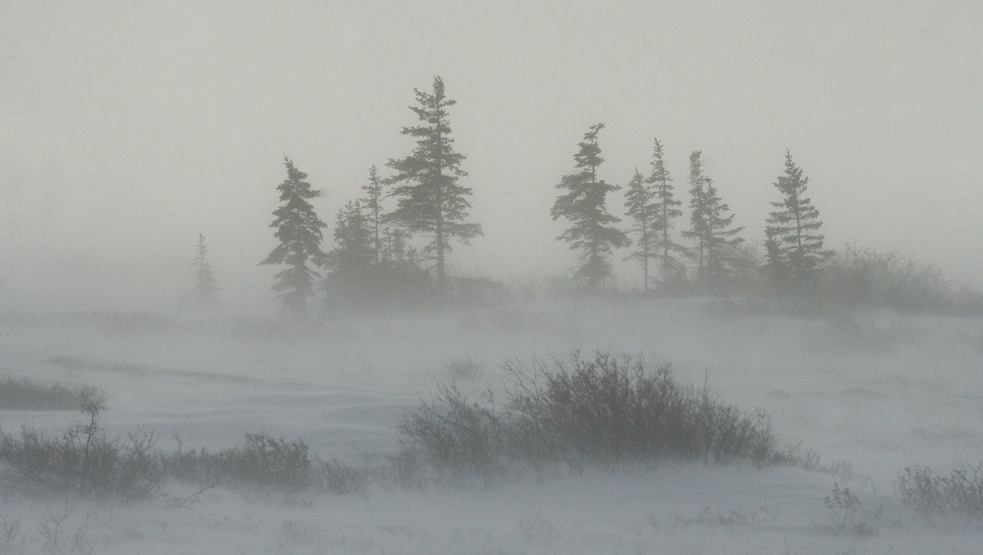 В Марий Эл ожидается метель и гололедица