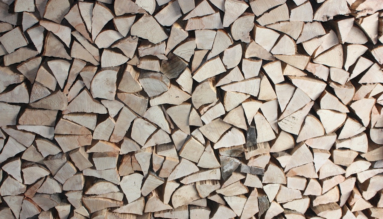 Жительница Марий Эл насмерть забила бывшего мужа поленом