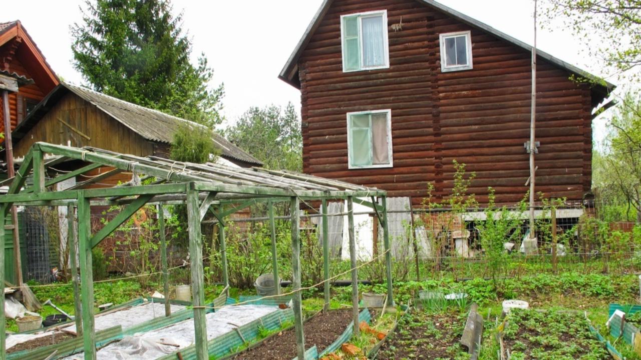 Садоводов Марий Эл предупредили о новых схемах мошенничества с землёй   