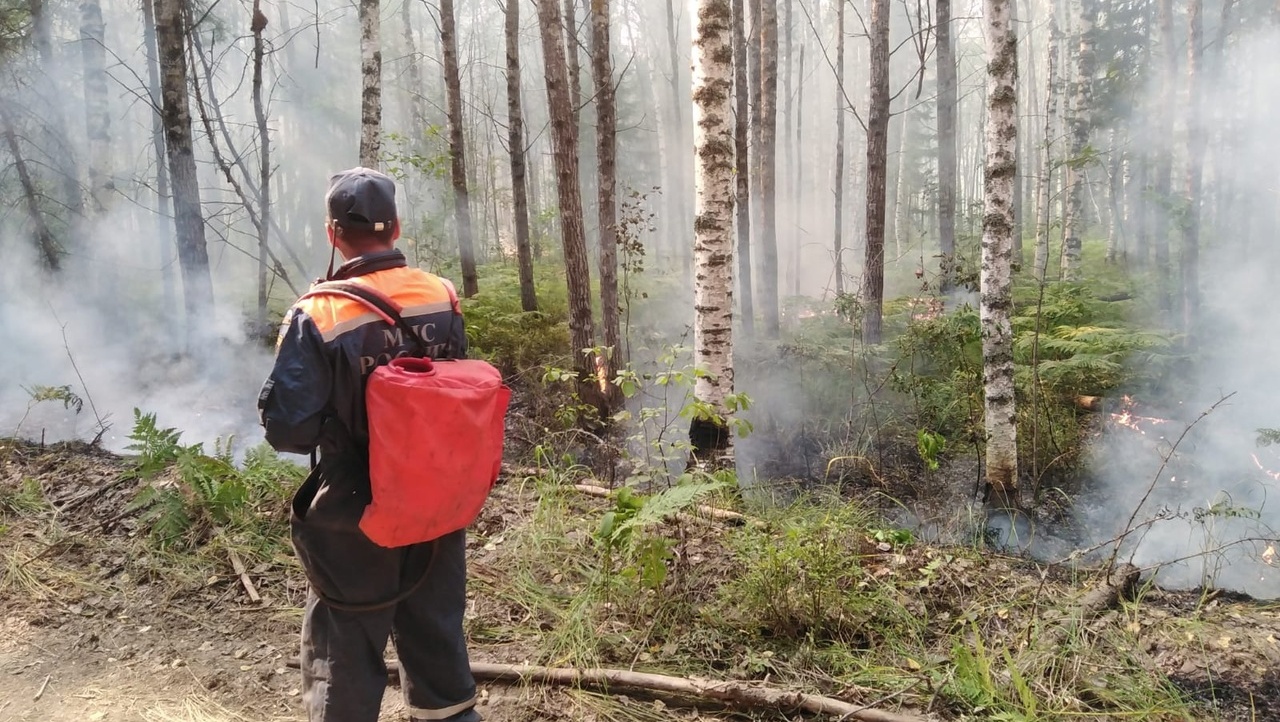 В лесах Юринского района пройденная огнём площадь увеличилась ещё на 200 га