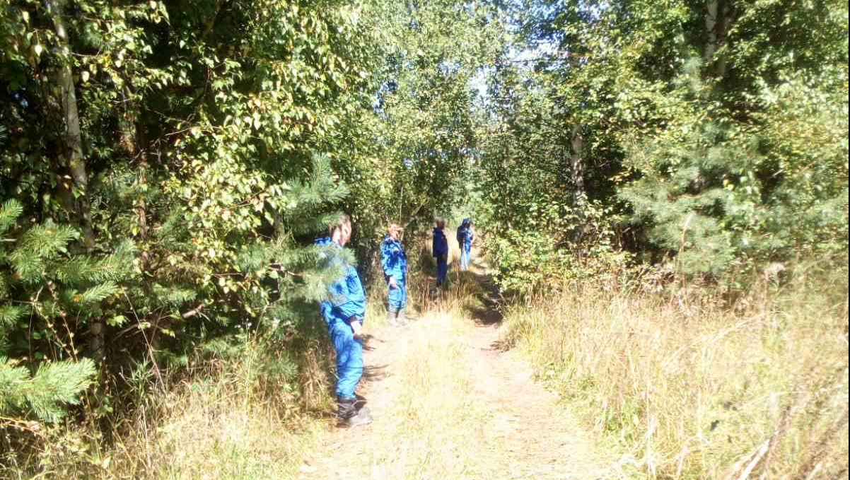 В Юринском районе заблудилась семья грибников