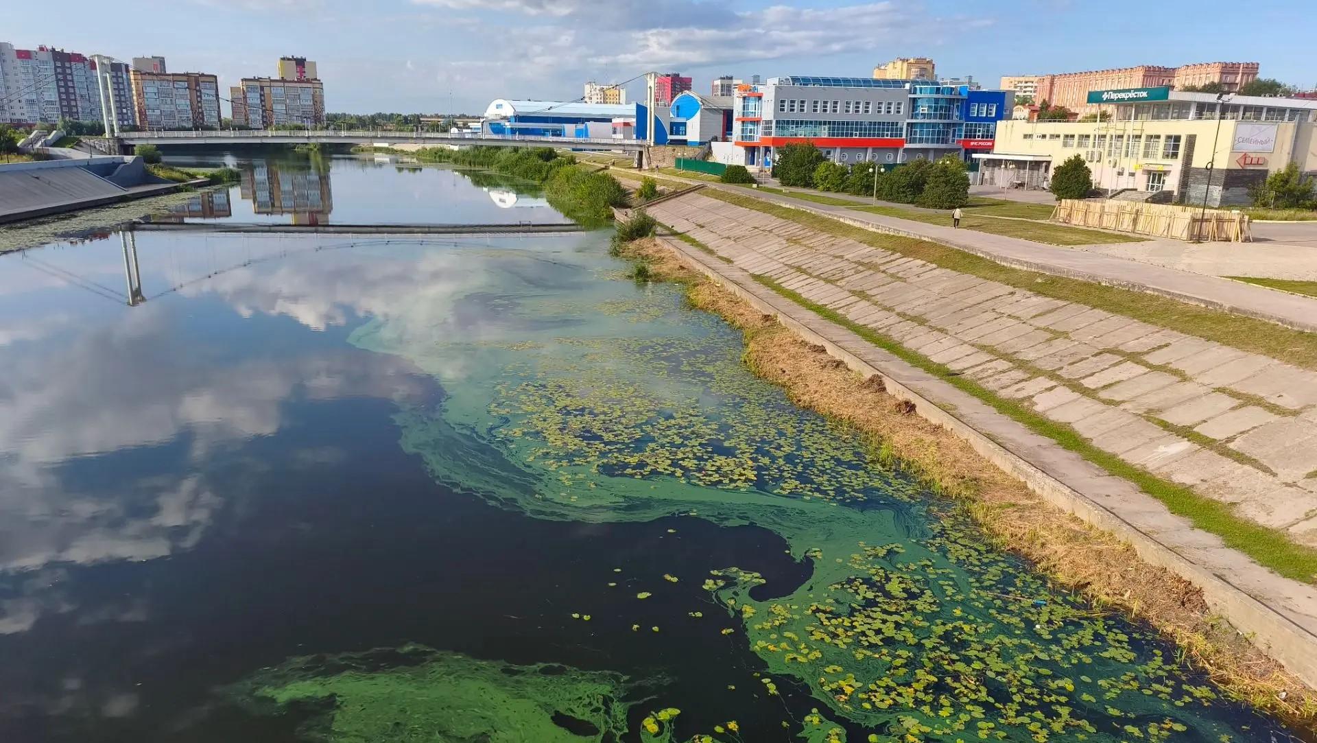 В Йошкар-Оле «цветёт» Кокшага