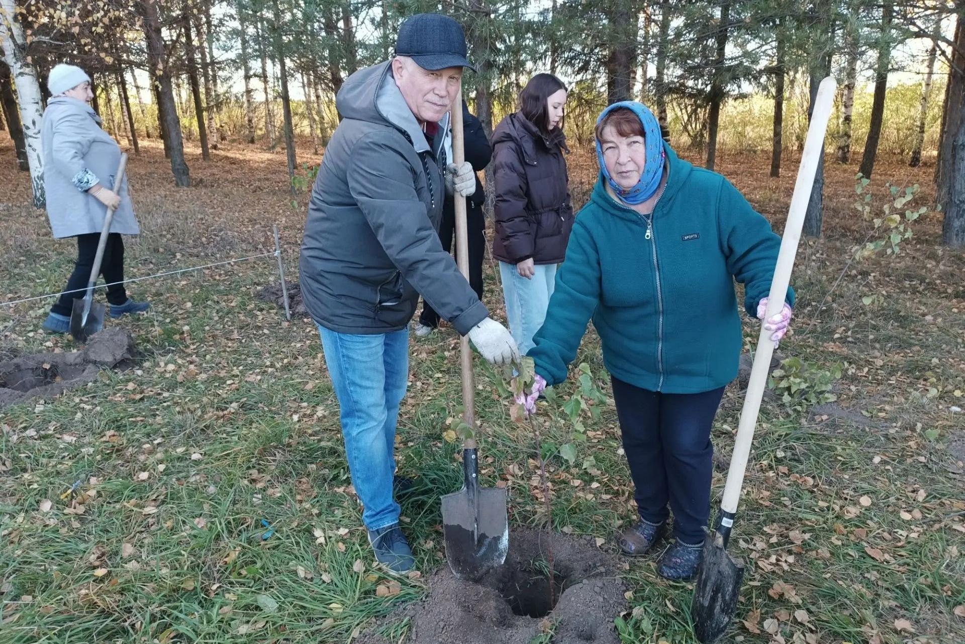 В Мари-Турекском районе высадили Аллеи памяти