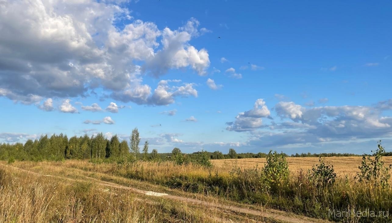 В Марий Эл пришло «бабье лето»