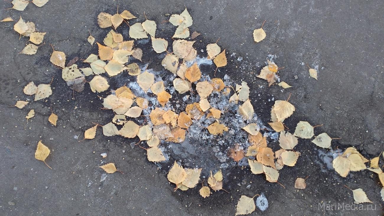 В Марий Эл погода в ноябре от -33,6°С до +13°С