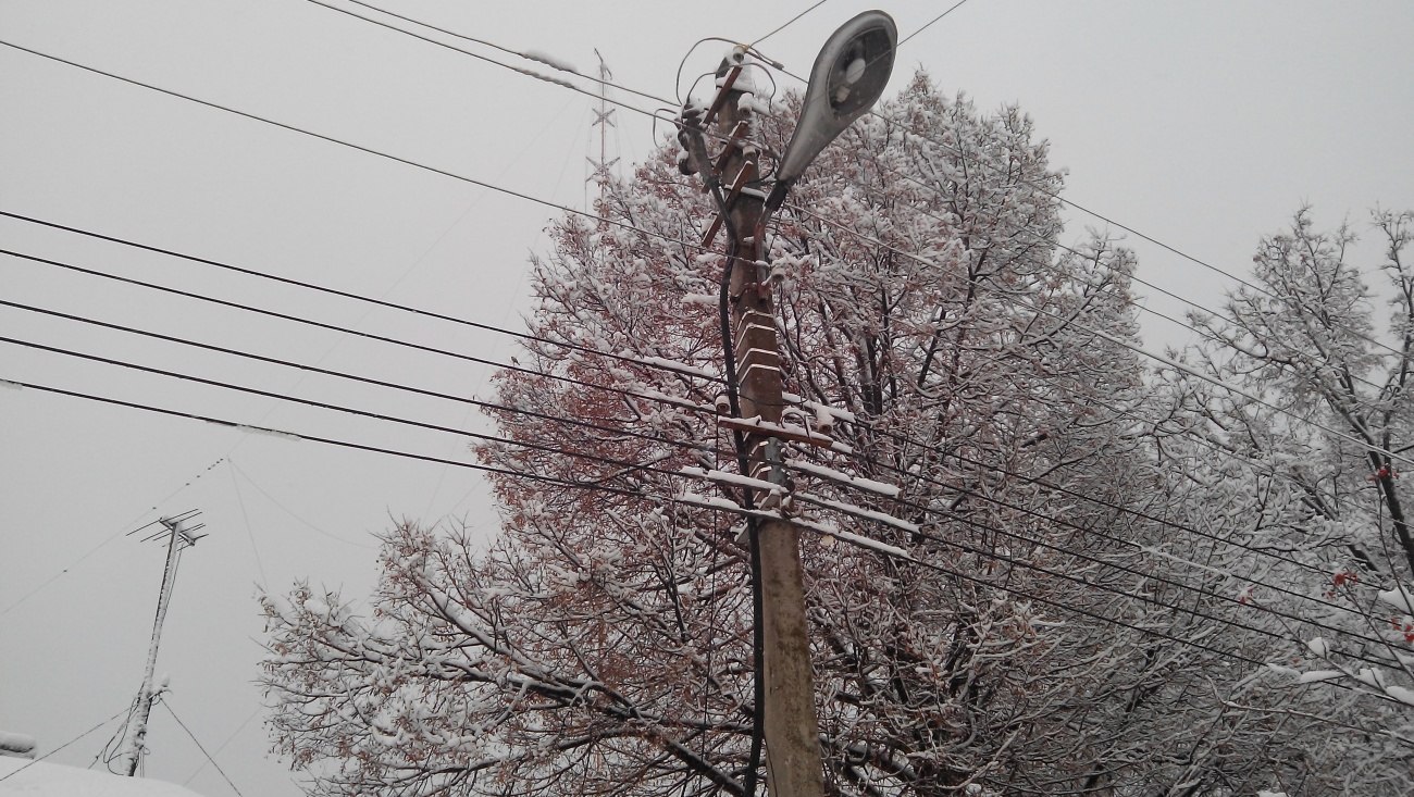 В Медведевском районе 2 300 человек остались без электричества
