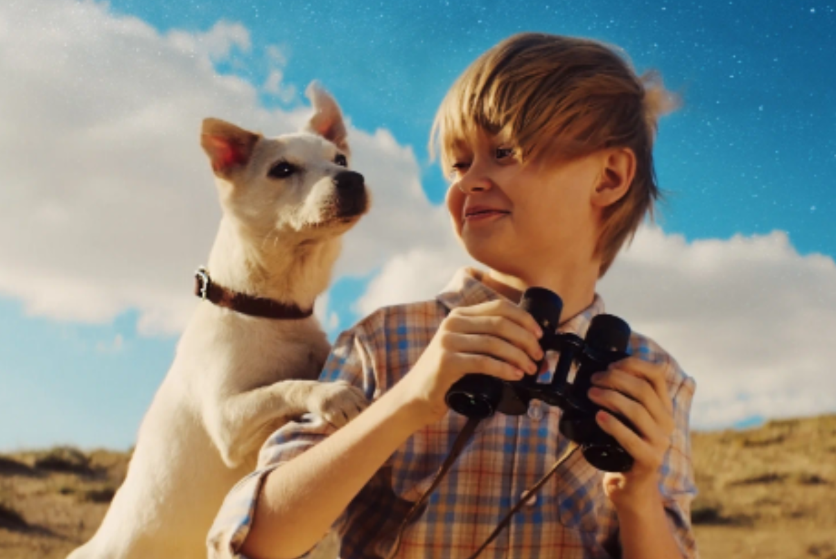 Моя собака – космонавт