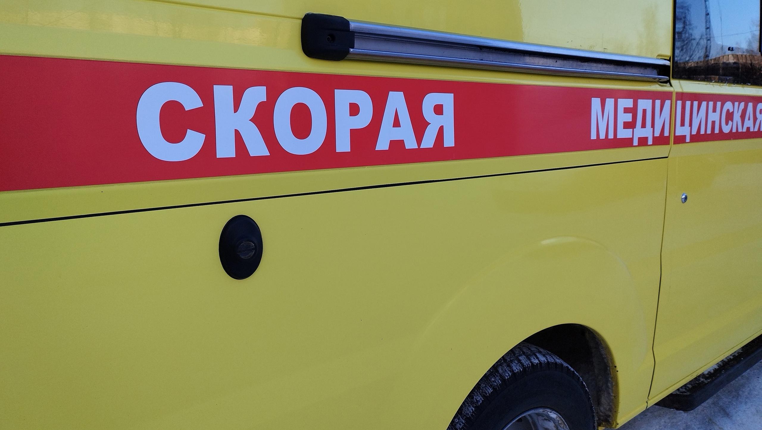 На 48-м км Сернурского тракта в Марий Эл автомобиль сбил лося