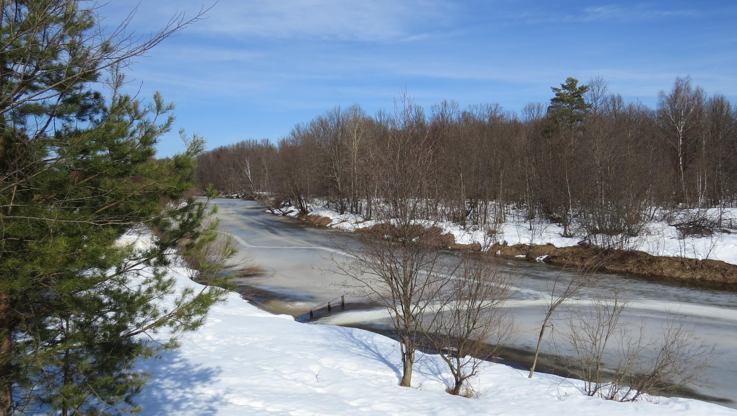 В Марий Эл потеплеет до +16 градусов
