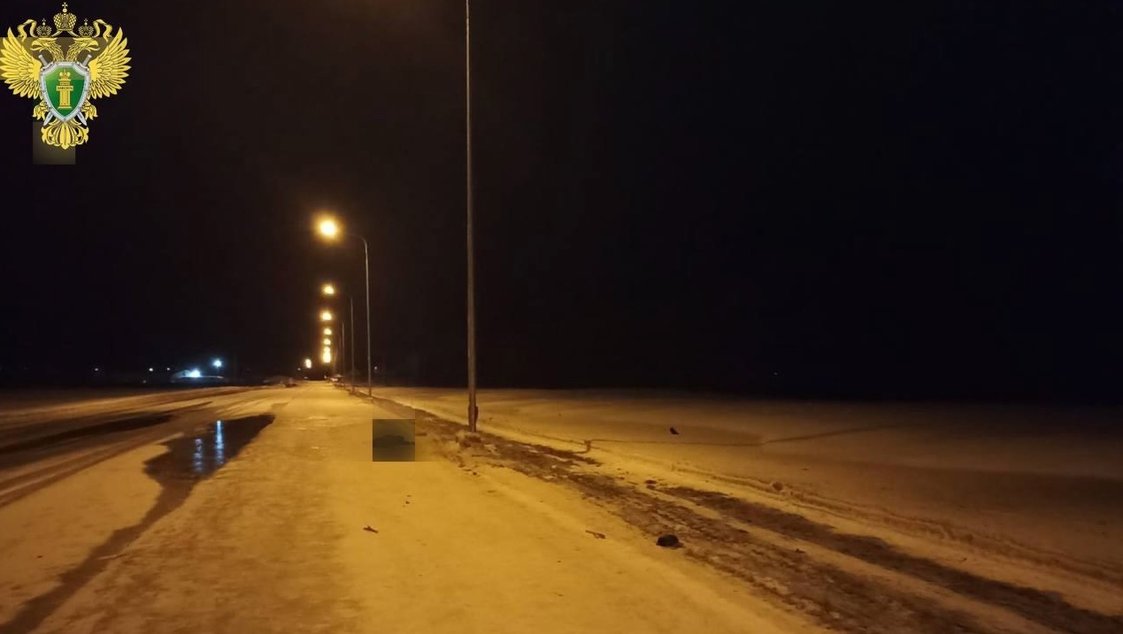 Прокуратура проводит проверку по факту смертельного ДТП в Новоторъяльском районе