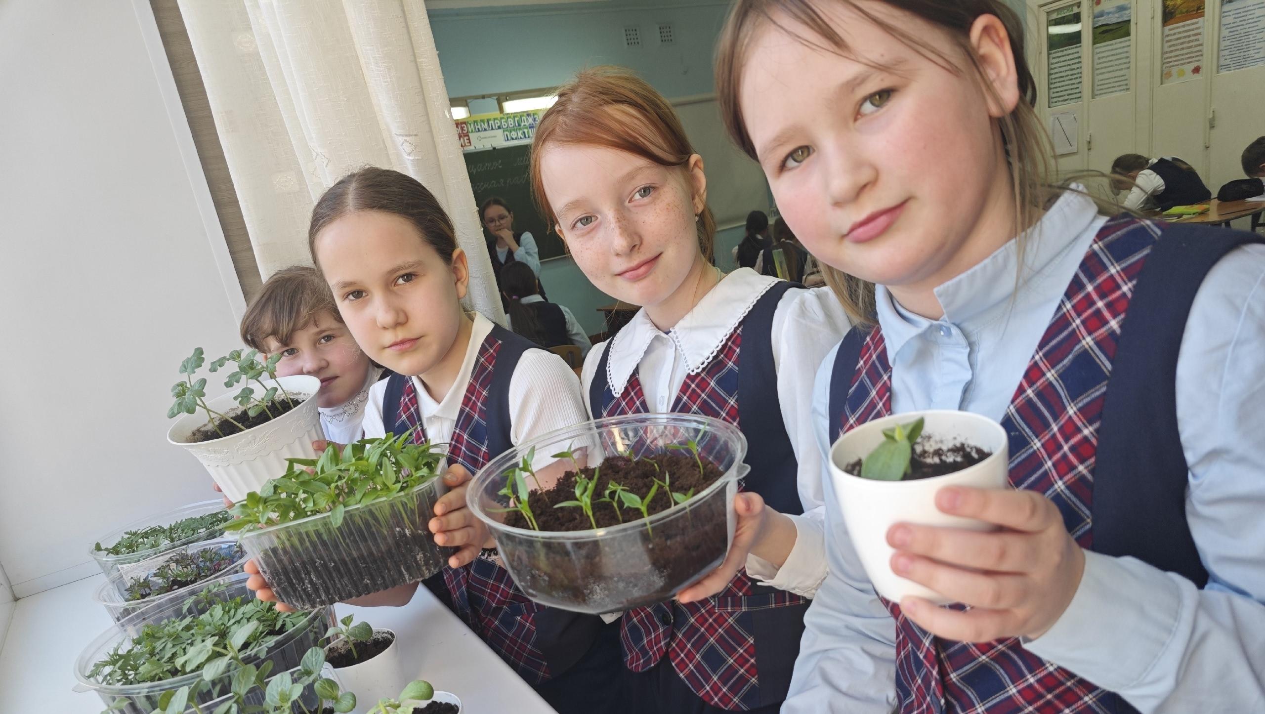 В Йошкар-Оле орлята планируют выращивать на пришкольном участке бахчевые