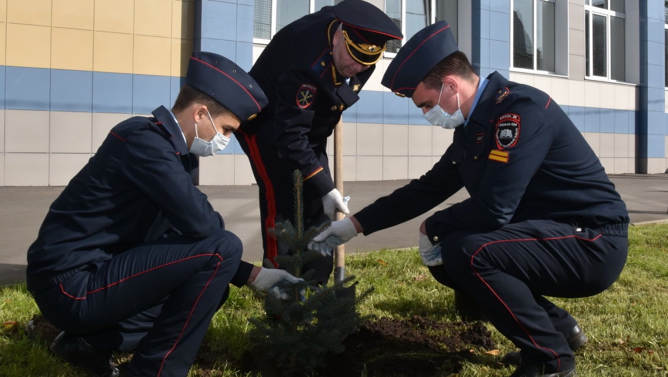 В Йошкар-Оле у ДК им. Дзержинского полицейские высадили голубые ели