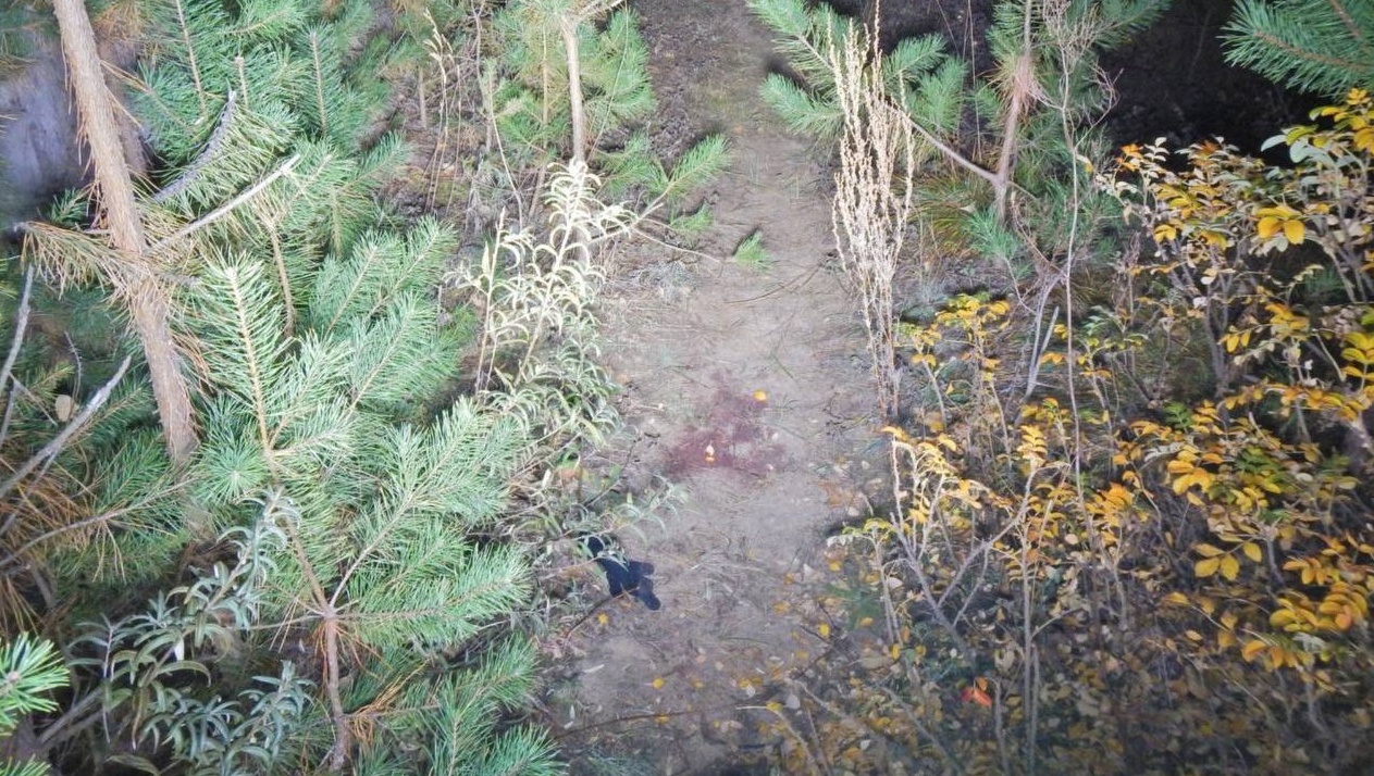 В Волжске будут судить подростка за покушение на убийство