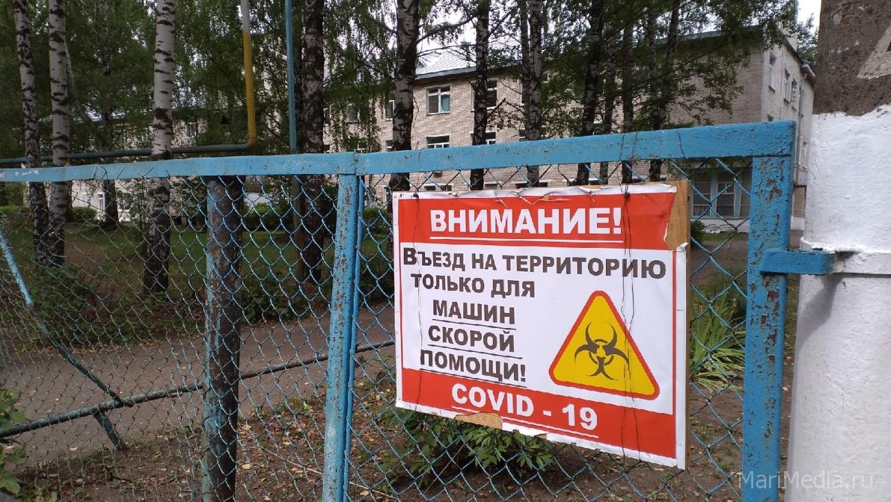 В воскресенье 66 жителей Марий Эл госпитализировали в инфекционные стационары