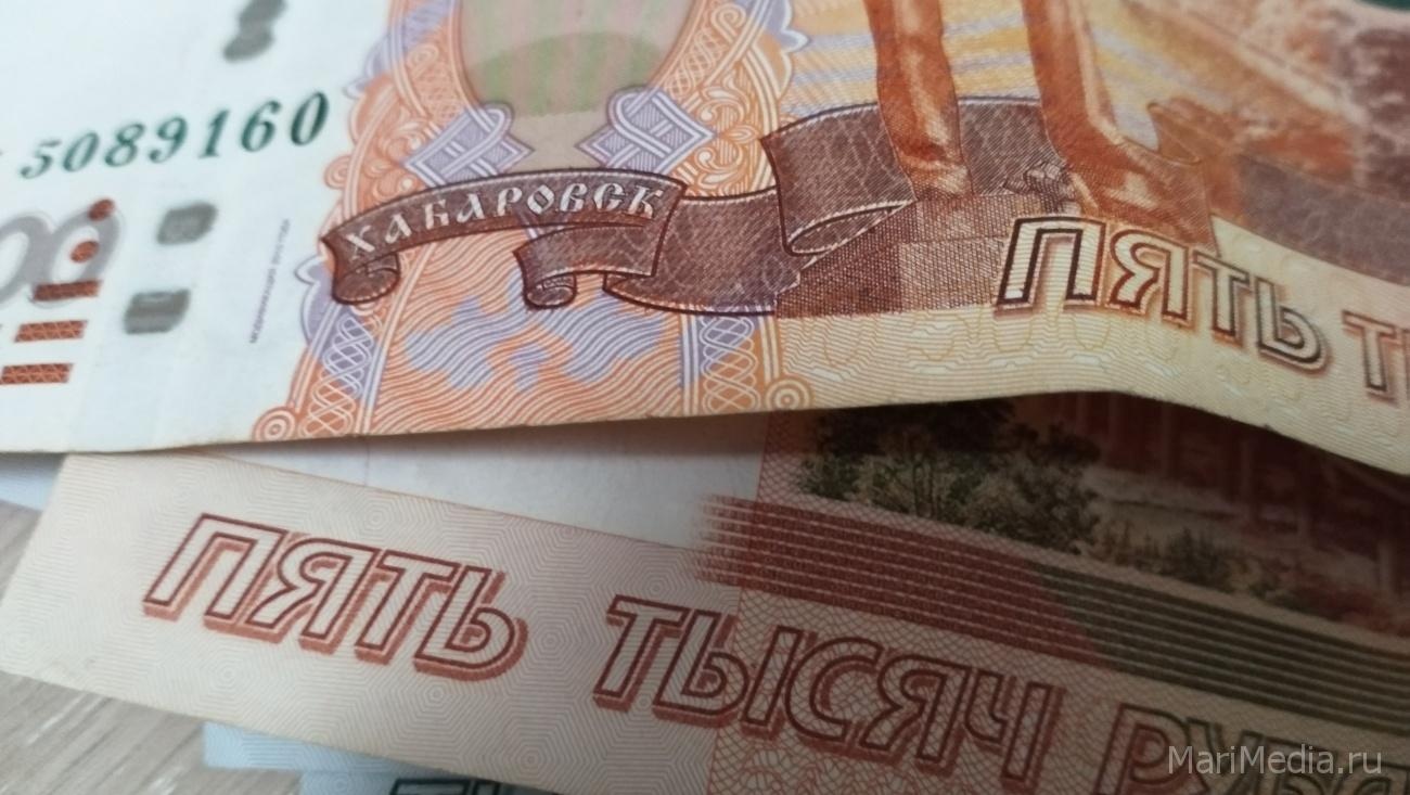 Закон об отсрочке по уплате долгов для бизнеса и пенсионеров принят в третьем чтении