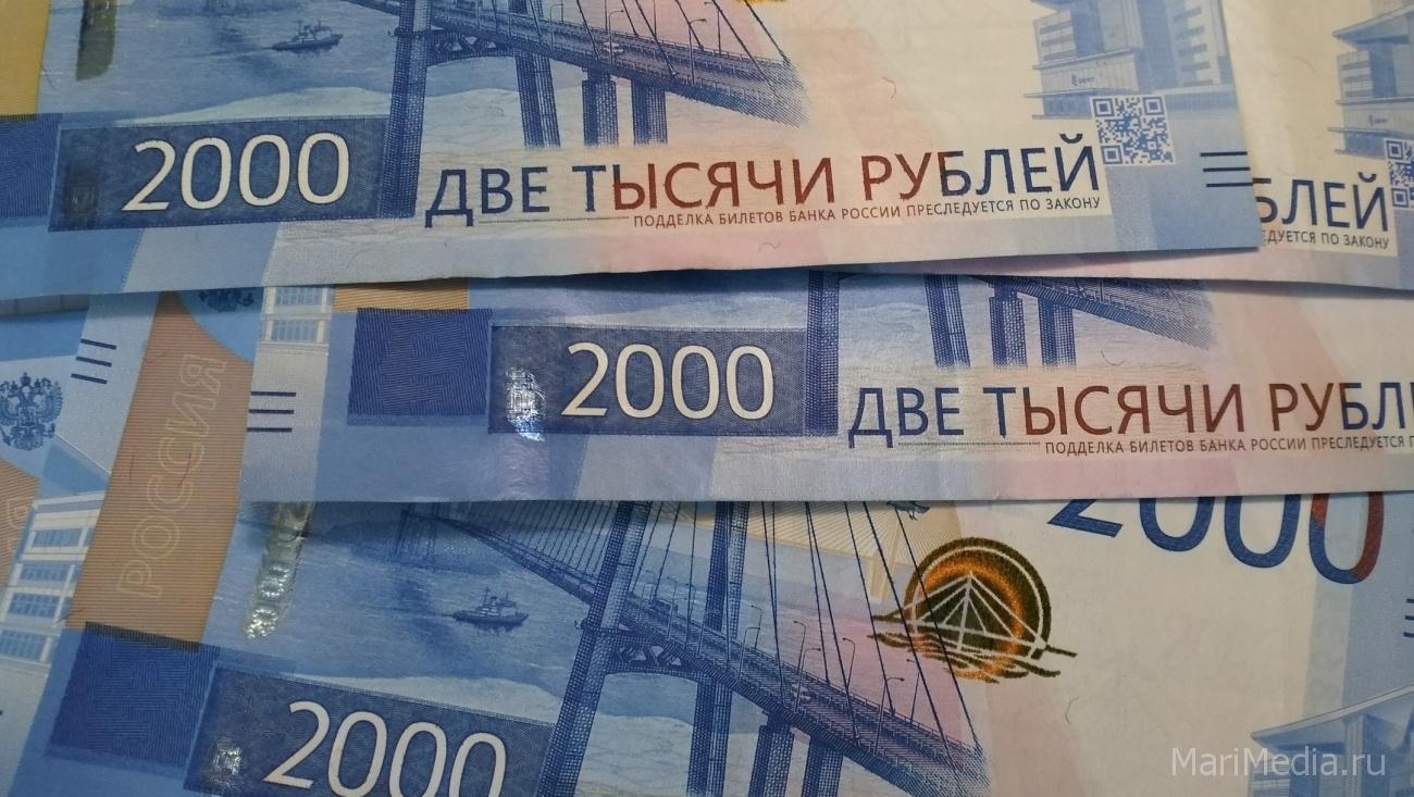 Жительницы Марий Эл попали в полумиллионную кредитную кабалу по вине мошенников