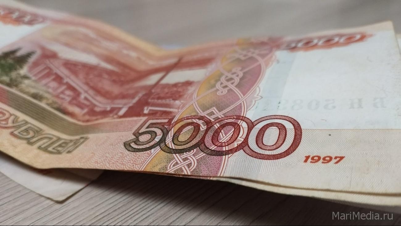 Жителям Марий Эл, лишившимся скота из-за вспышки АЧС, выплатят компенсацию