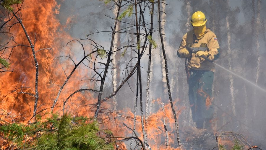 В Куярском лесничестве учились тушить крупный лесной пожар