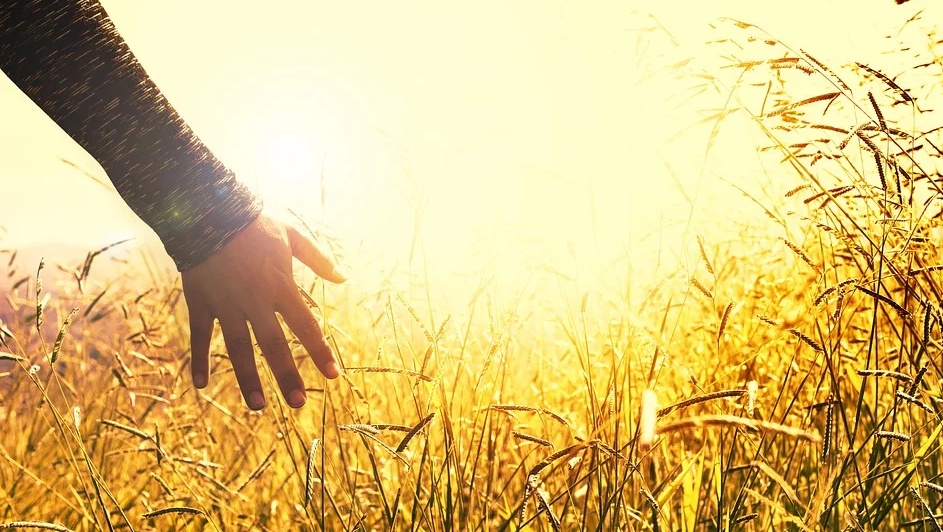 Марий Эл раздала аграриям 400 миллионов