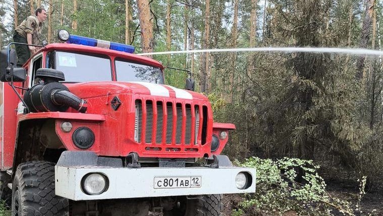 В Звениговском районе по вине людей горел лес