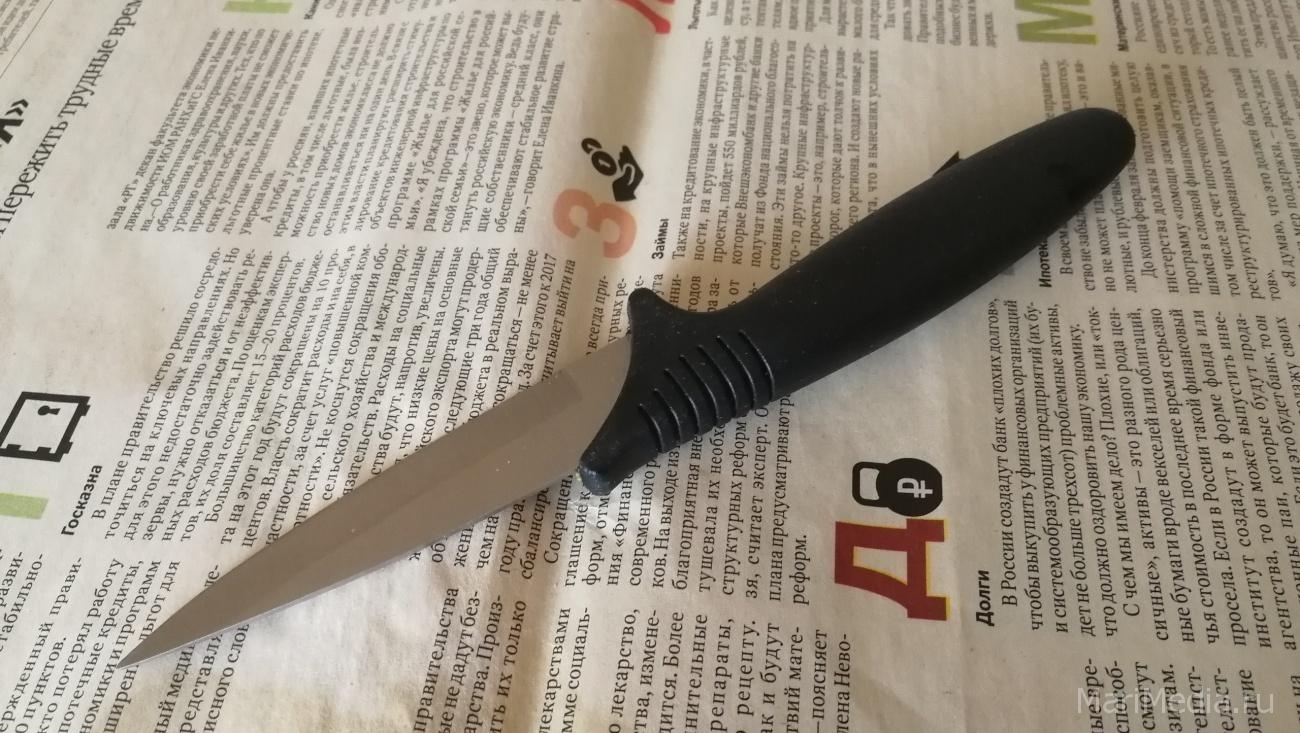 В Куженерском районе пенсионер зарезал сына и порезал его друга