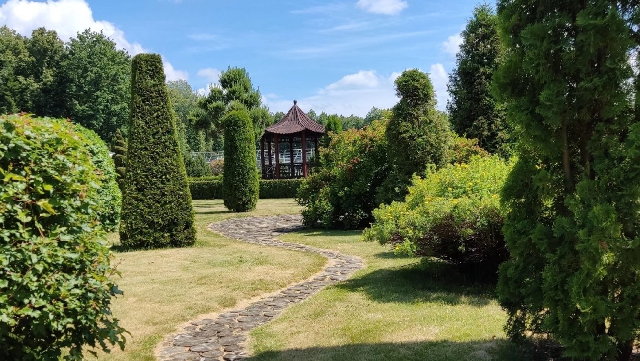 В топиарной экспозиции в Ботаническом саду ремонтируют древесную дорожку