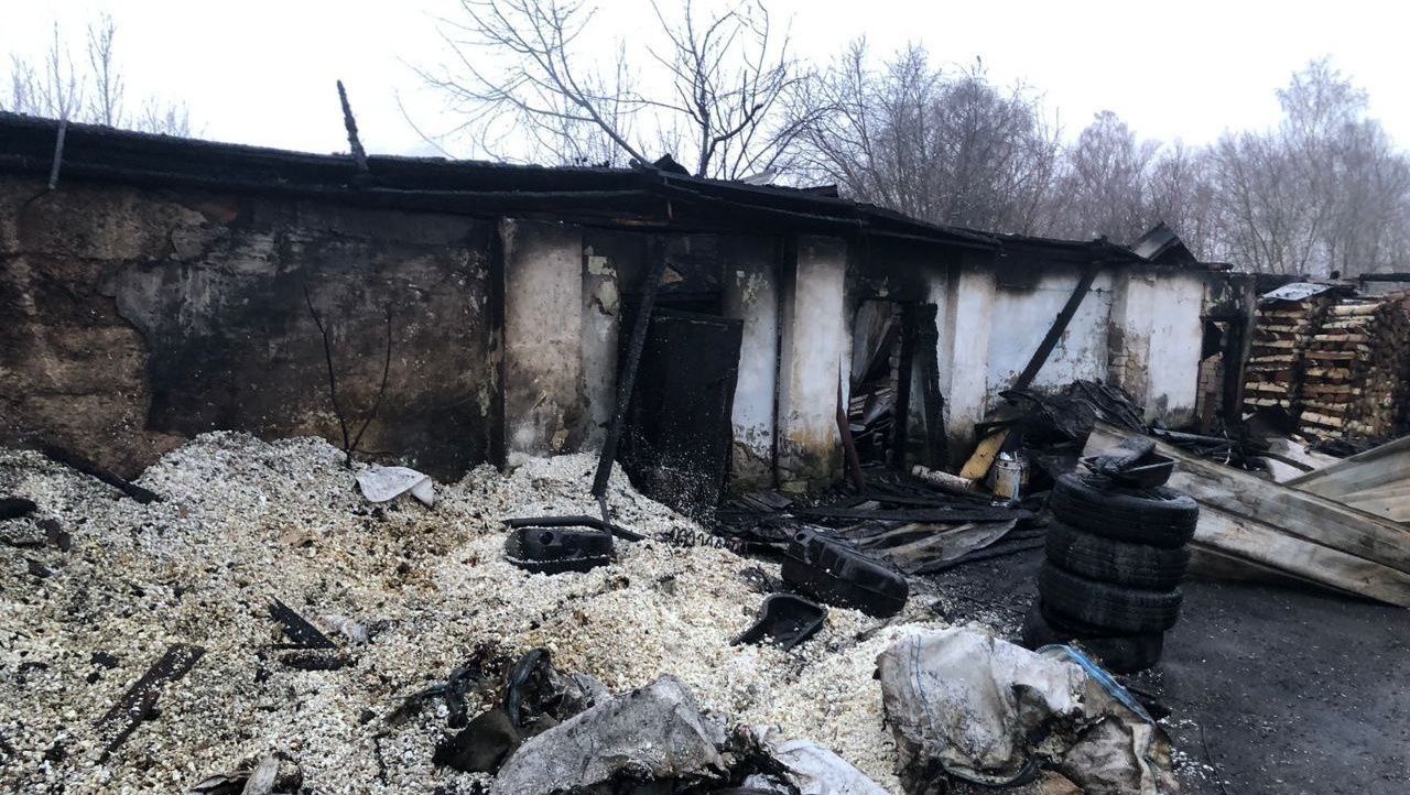 В Волжском районе соседские дети помогли мужчине спасти живность на пожаре