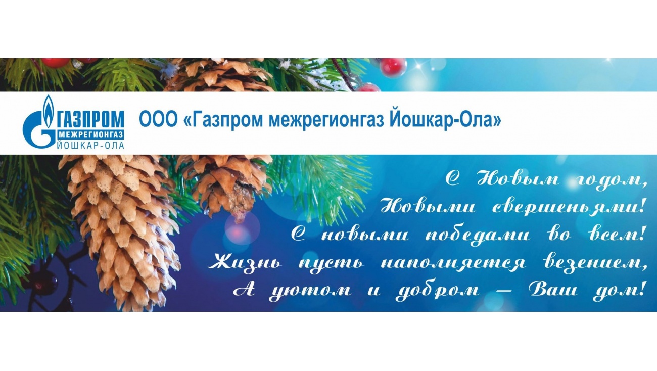 Поставщик газа рекомендует встретить Новый год без долгов