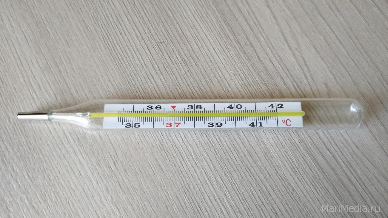 В Марий Эл продолжают регистрировать грипп, ОРВИ и коронавирус