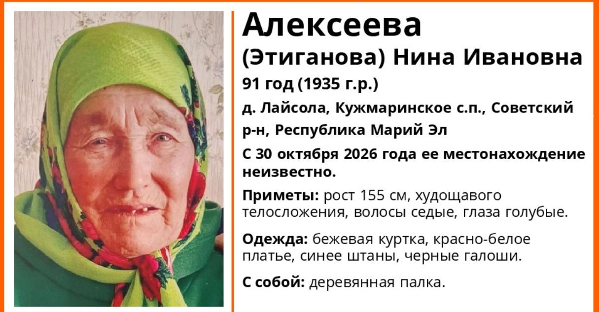 Поисковики Марий Эл в срочном порядке выезжают на поиск 91-летней бабушки