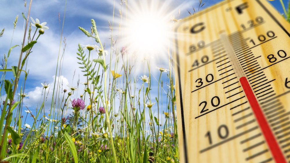 В Марий Эл в выходные дни столбики термометров поднимутся до отметки +33ºС