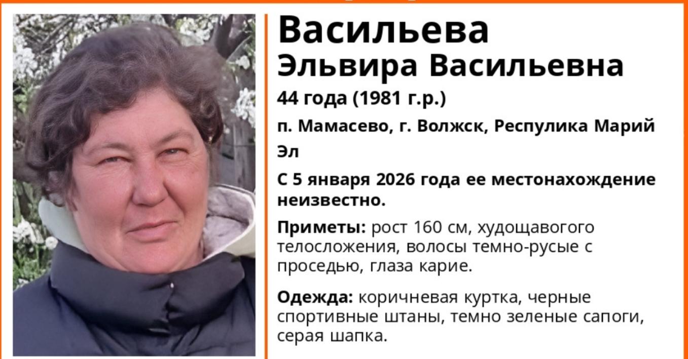 В Волжске ищут 44-летнюю Эльвиру Васильеву
