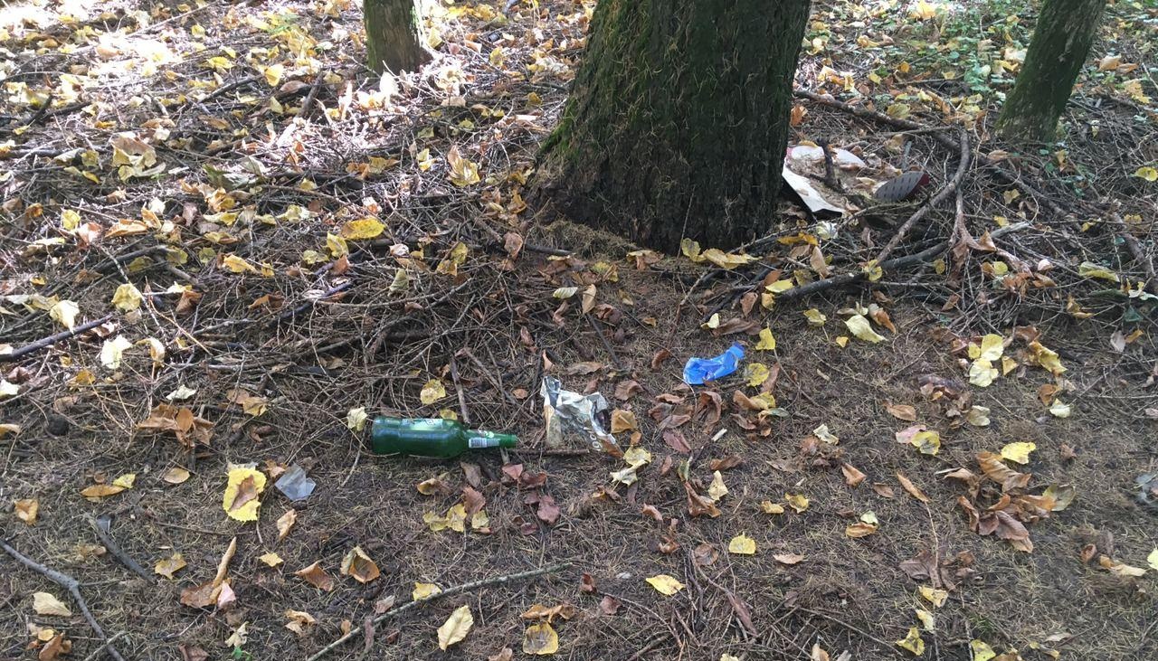 Йошкаролинцев приглашают на уборку Дубовой рощи