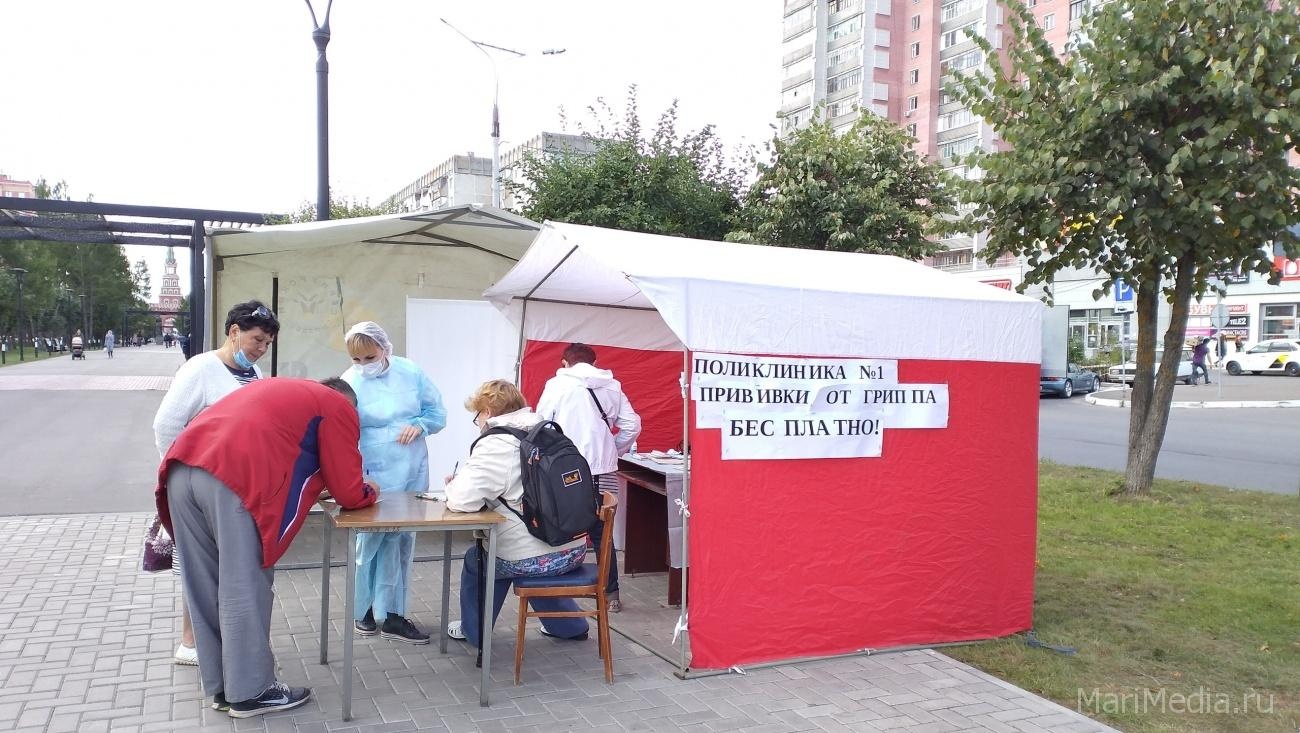 11 и 12 сентября прививку от гриппа можно сделать не посещая поликлинику