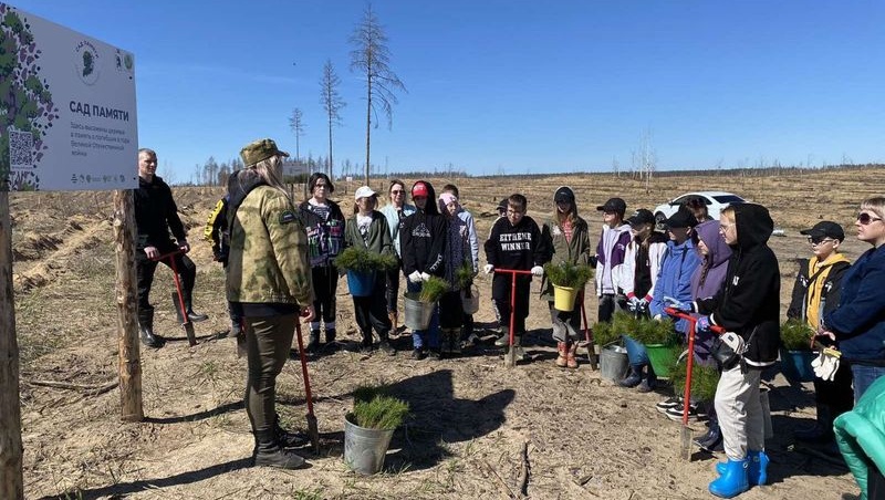 В Куярском лесничестве в Марий Эл высадили ещё 3,5 тысячи сосен